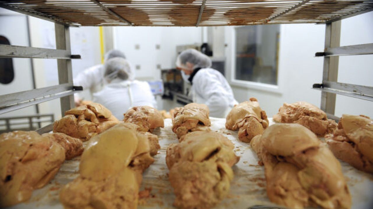 o_hudson_valley_foie_gras_facebook_69966800