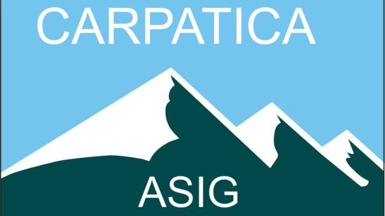 carpatica_98507100