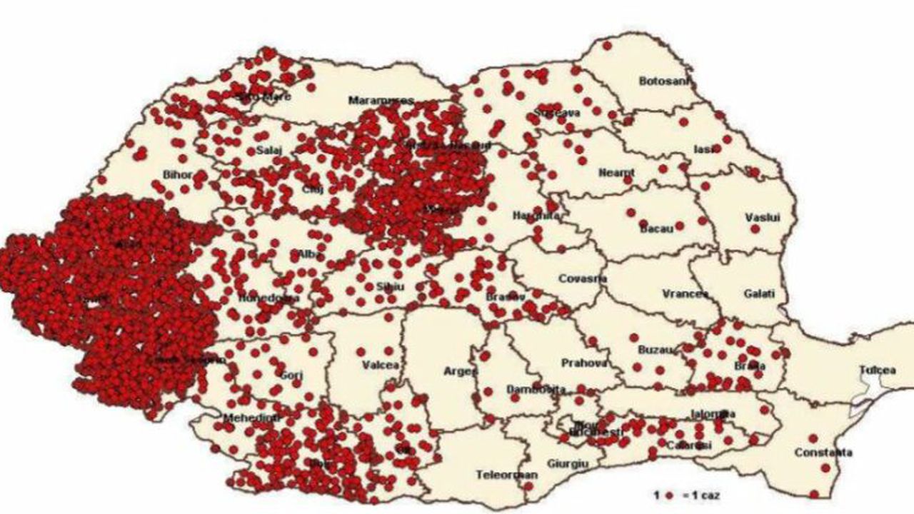 rujeola_la_24_martie_2017_33541600