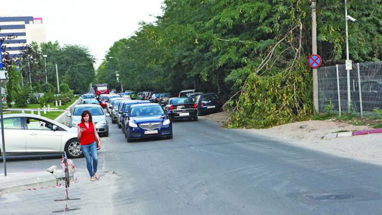 fabrica_de_glucoza_34809000