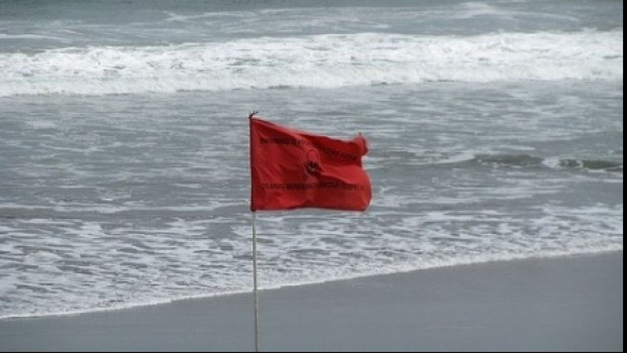 steag_rosu_99445100_03660800