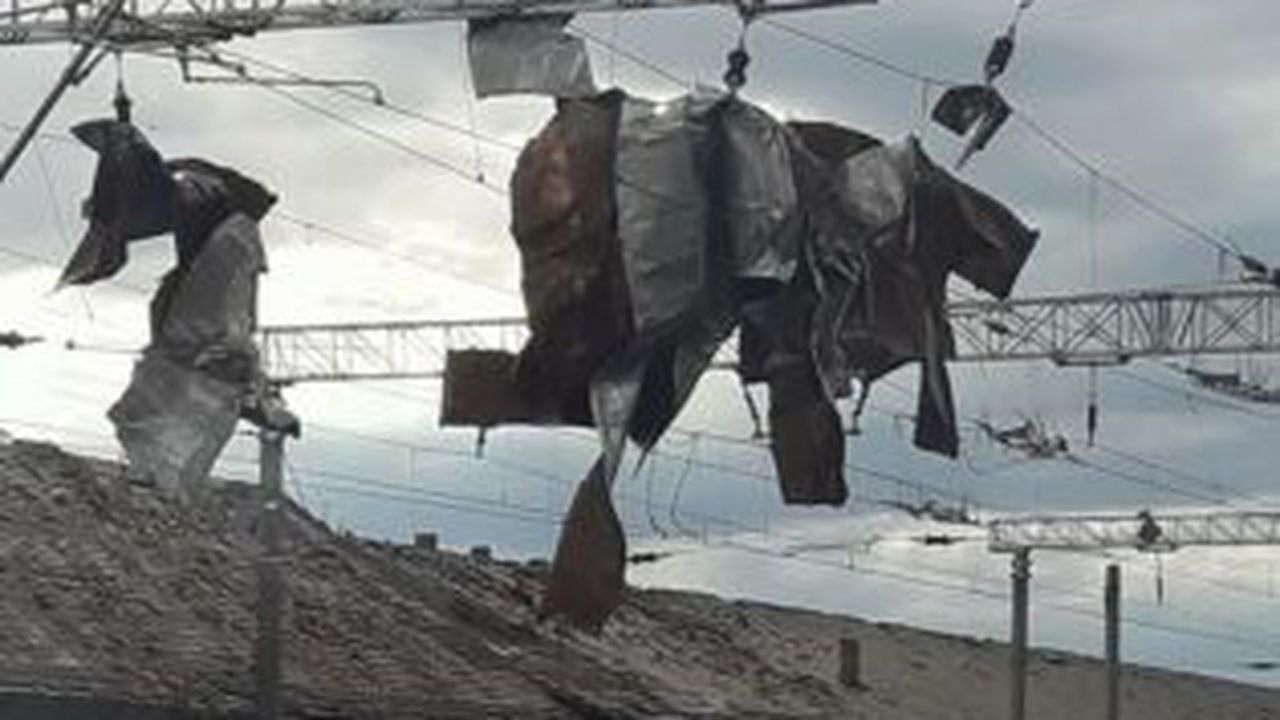 furtuna-timisoara-doi_86603200