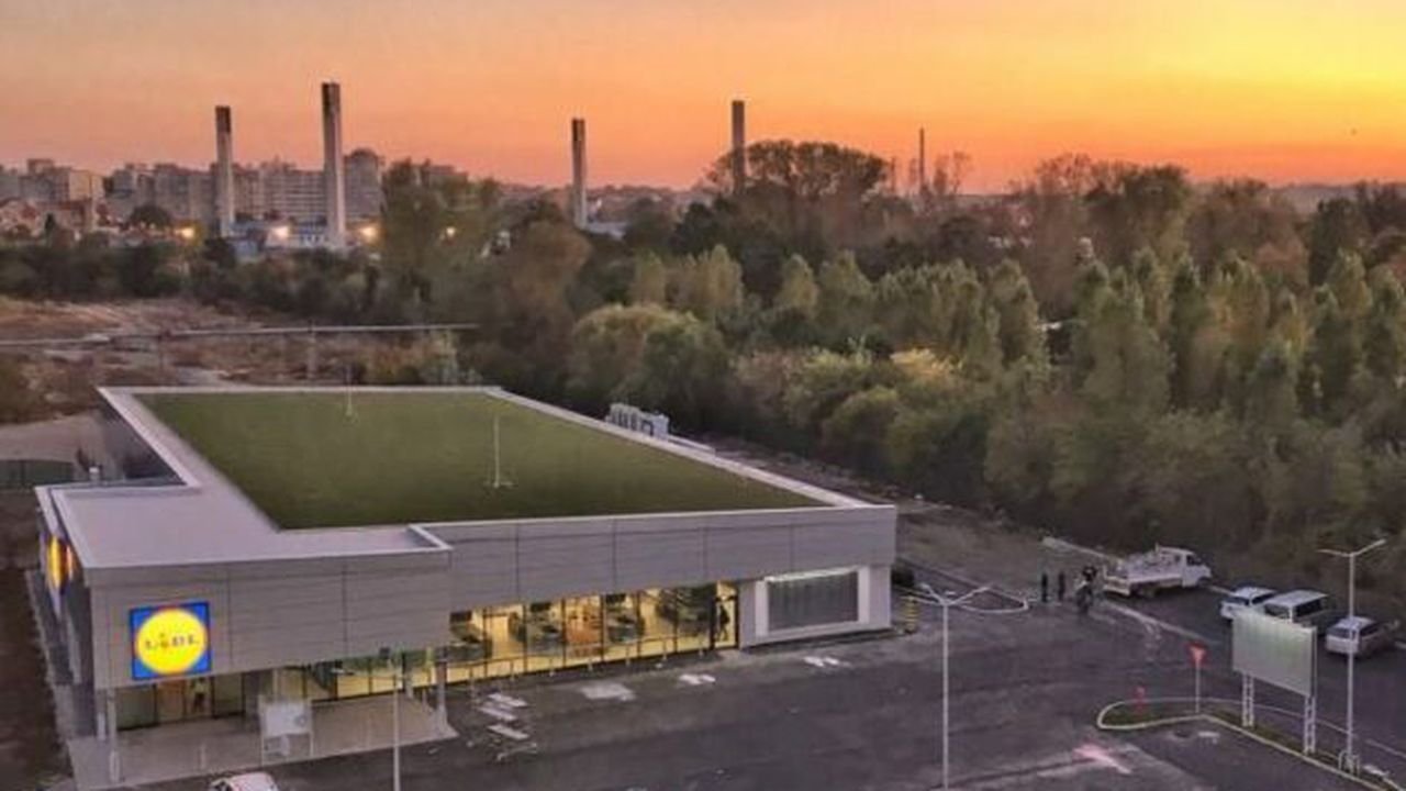 lidl_constanta_5678_09717200