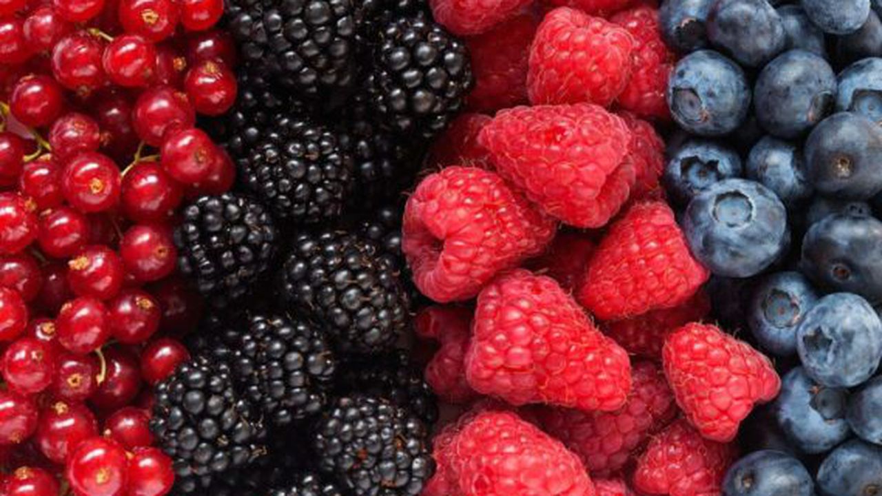 berries_0b57e5a2_06fe_4aab_92bb_fce2c64922e4_1024x1024_48947500