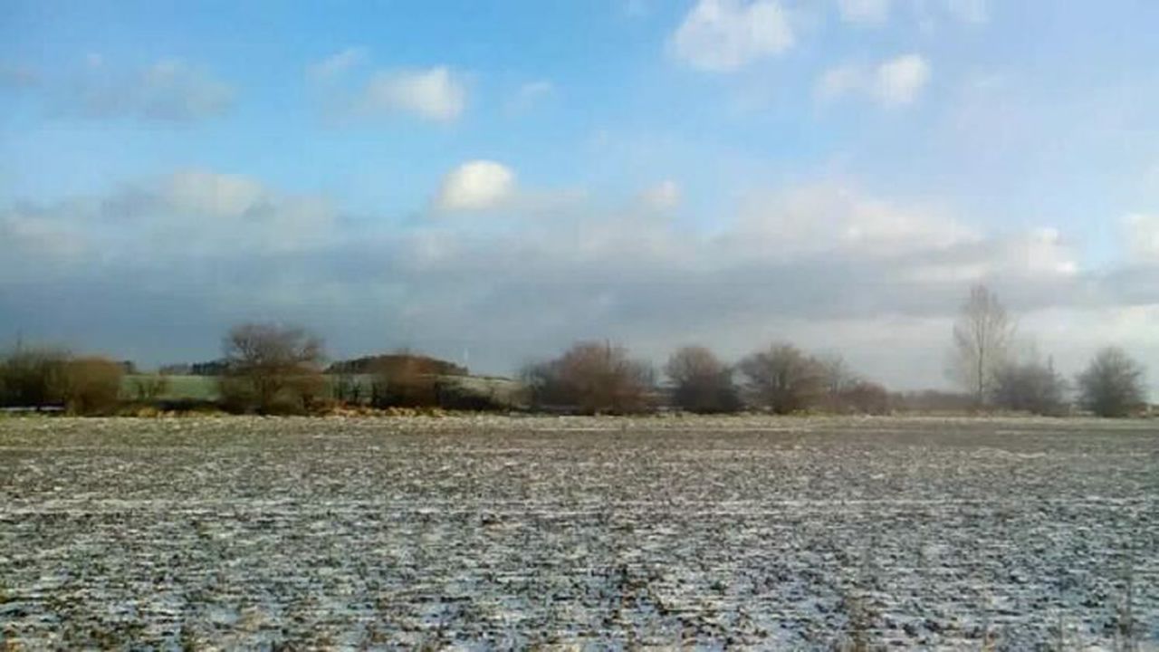 media_145172599660267500_23348900