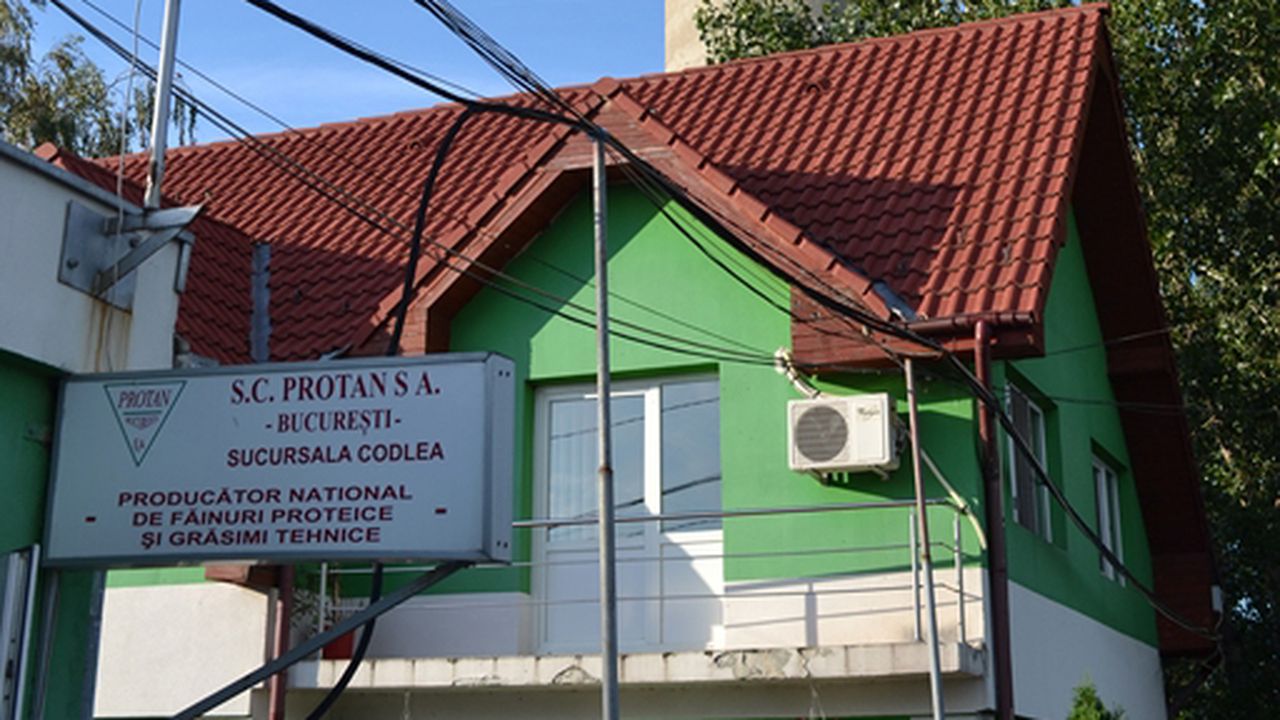 protan_sa_codlea_51399400