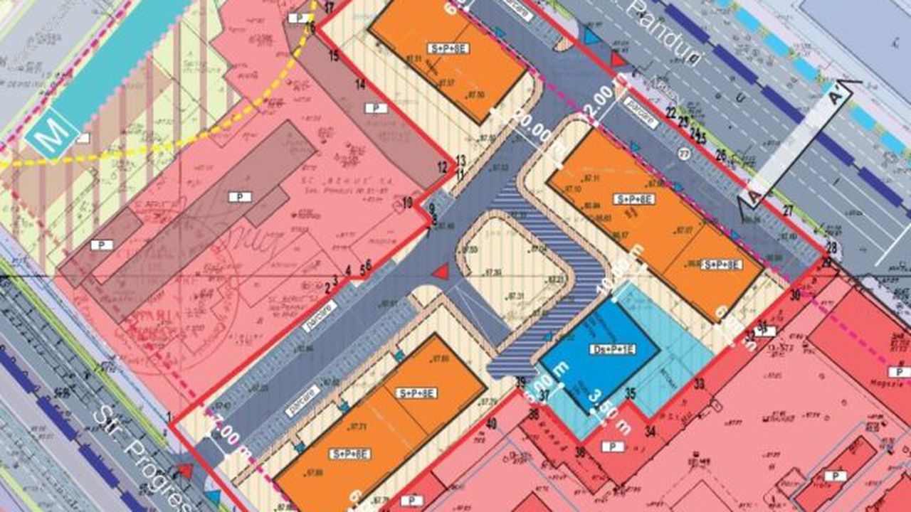 puz_panduri_77_81087300