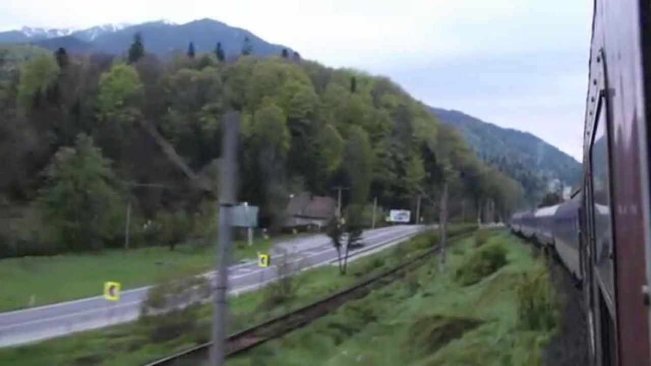 valea_timisului_24954900