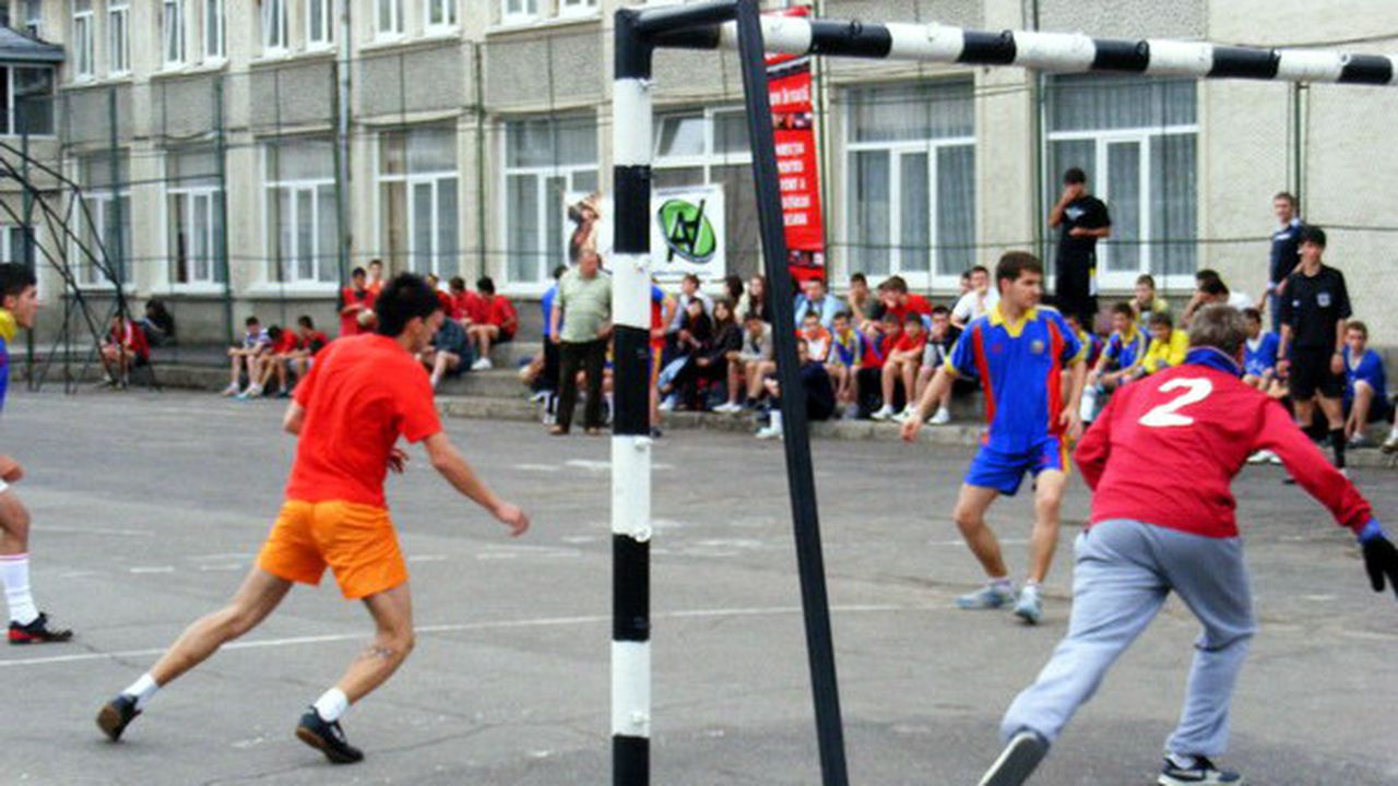 curtea_scolii_684905867584_49469000