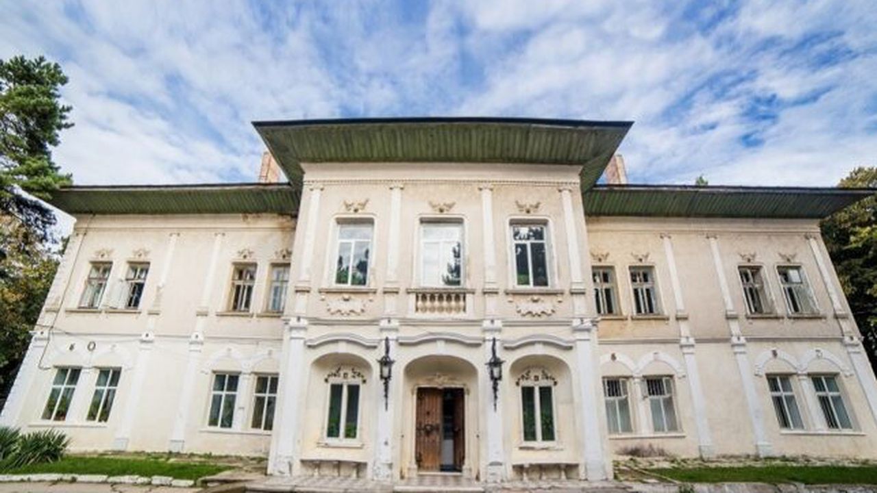 castelul_cantacuzino_deleni_19748800