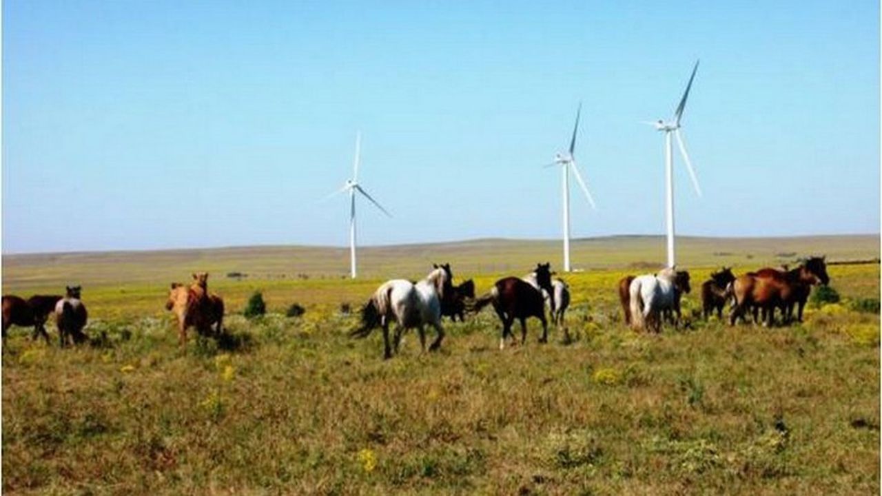 enel_sua_eoliene_6859403_73454400