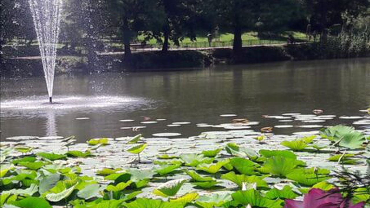 parcul_circului_49194500