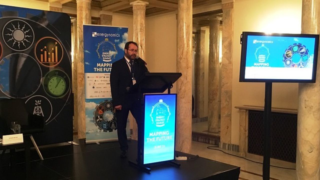 ciocanelea_energynomics_17443600