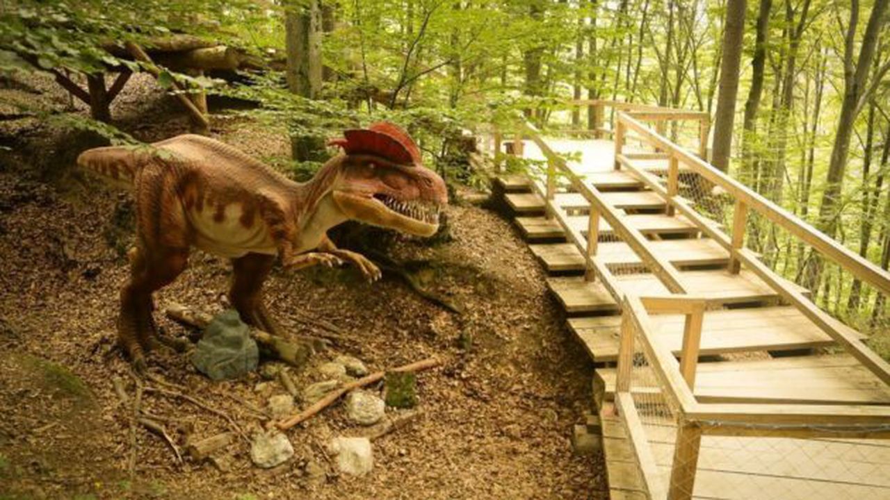 dino_park_50528400