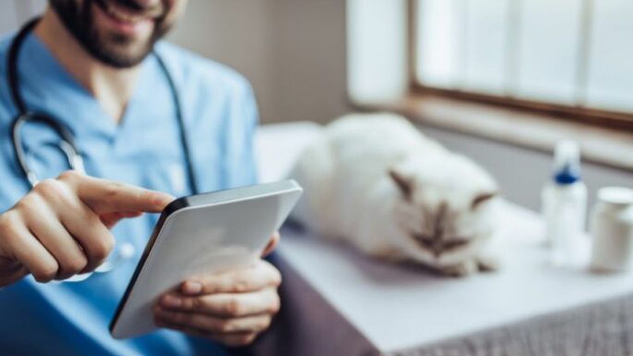 16_joshua_horner_story_84226700