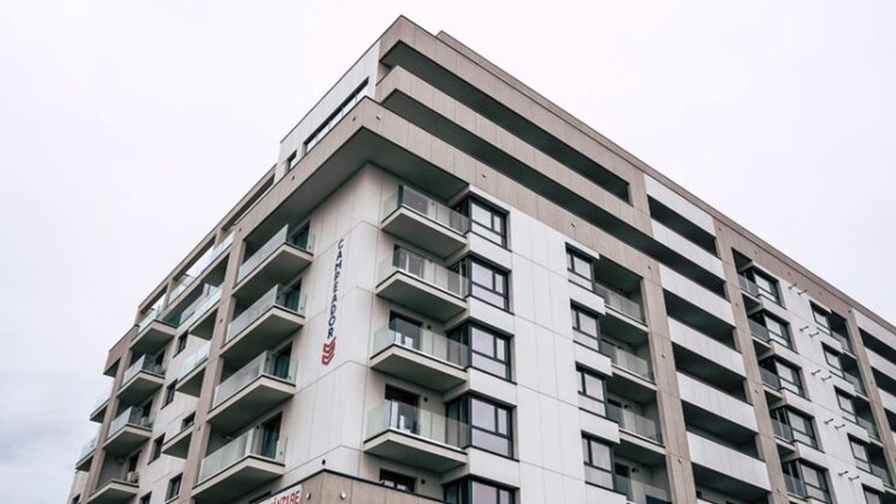 campeador_2_77026500