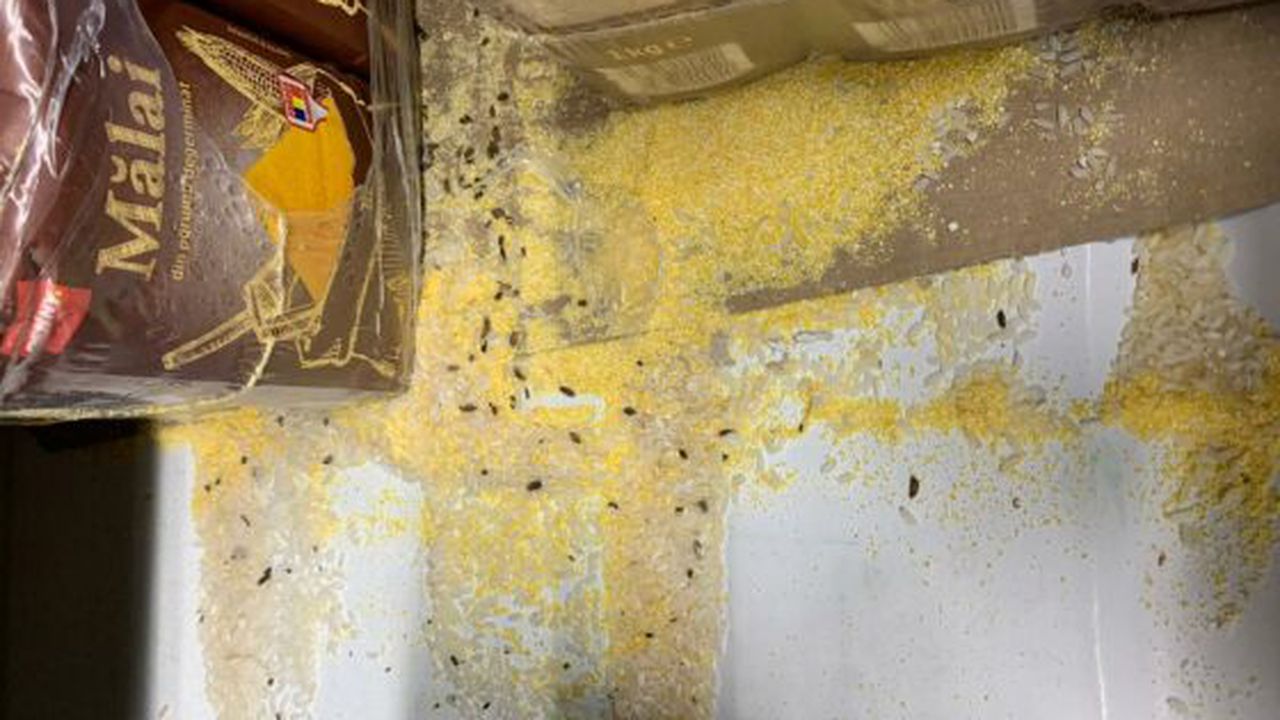 penny__56765432_25451700