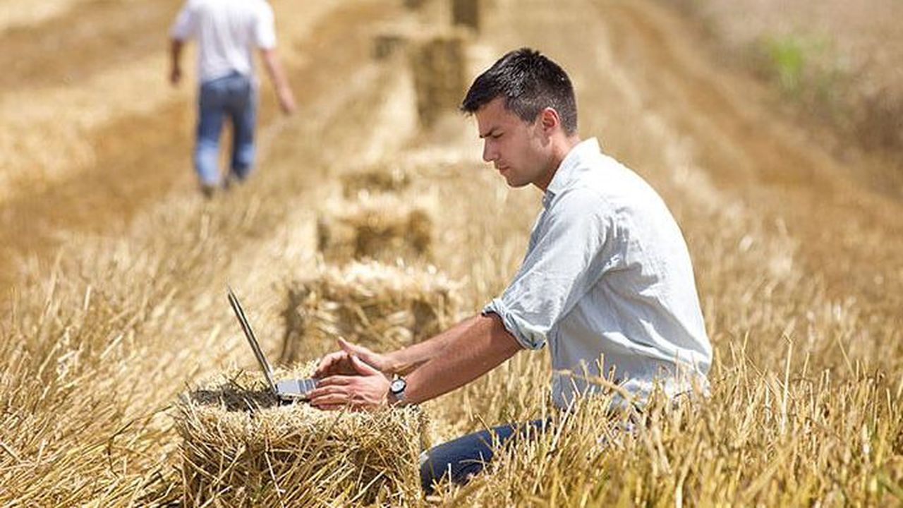 young_farmers_750x386_85425400