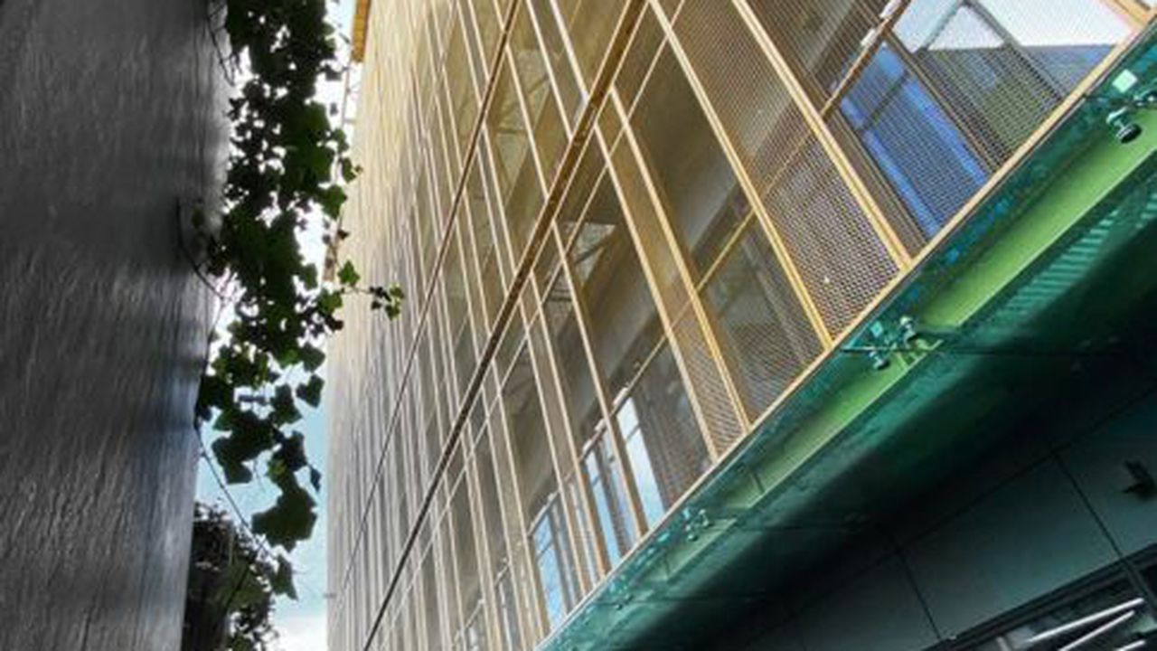 mendelev_office_5_portrait_78399700