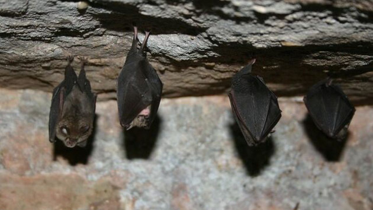 3206961624_8dd4a3b7ca_z_91609200