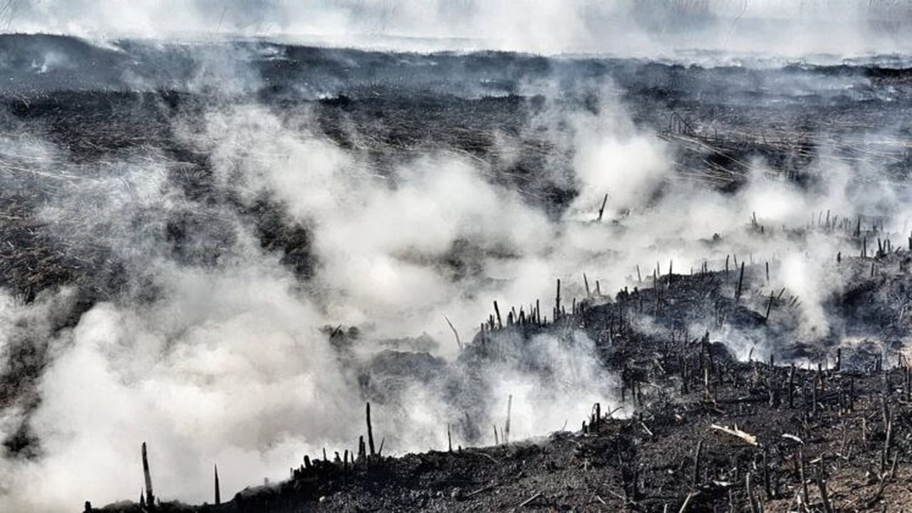 92176591_2581730025481174_4523953138083823616_o_55999400