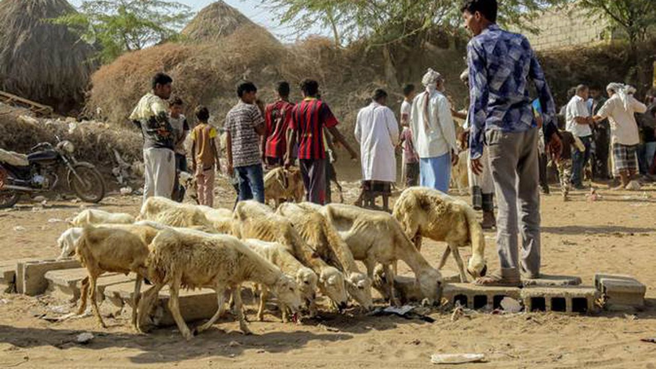 thumbnail_image003_1_63439500