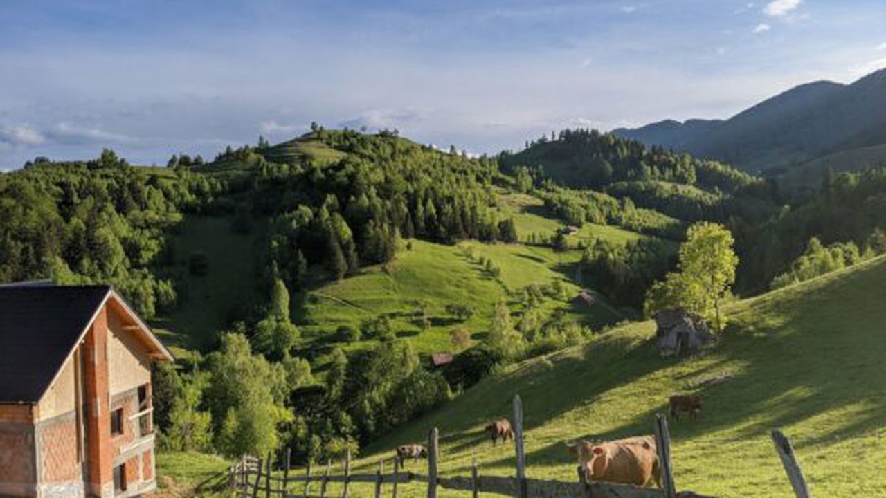 99436810_3712968622050698_2639084088576704512_o_65497600