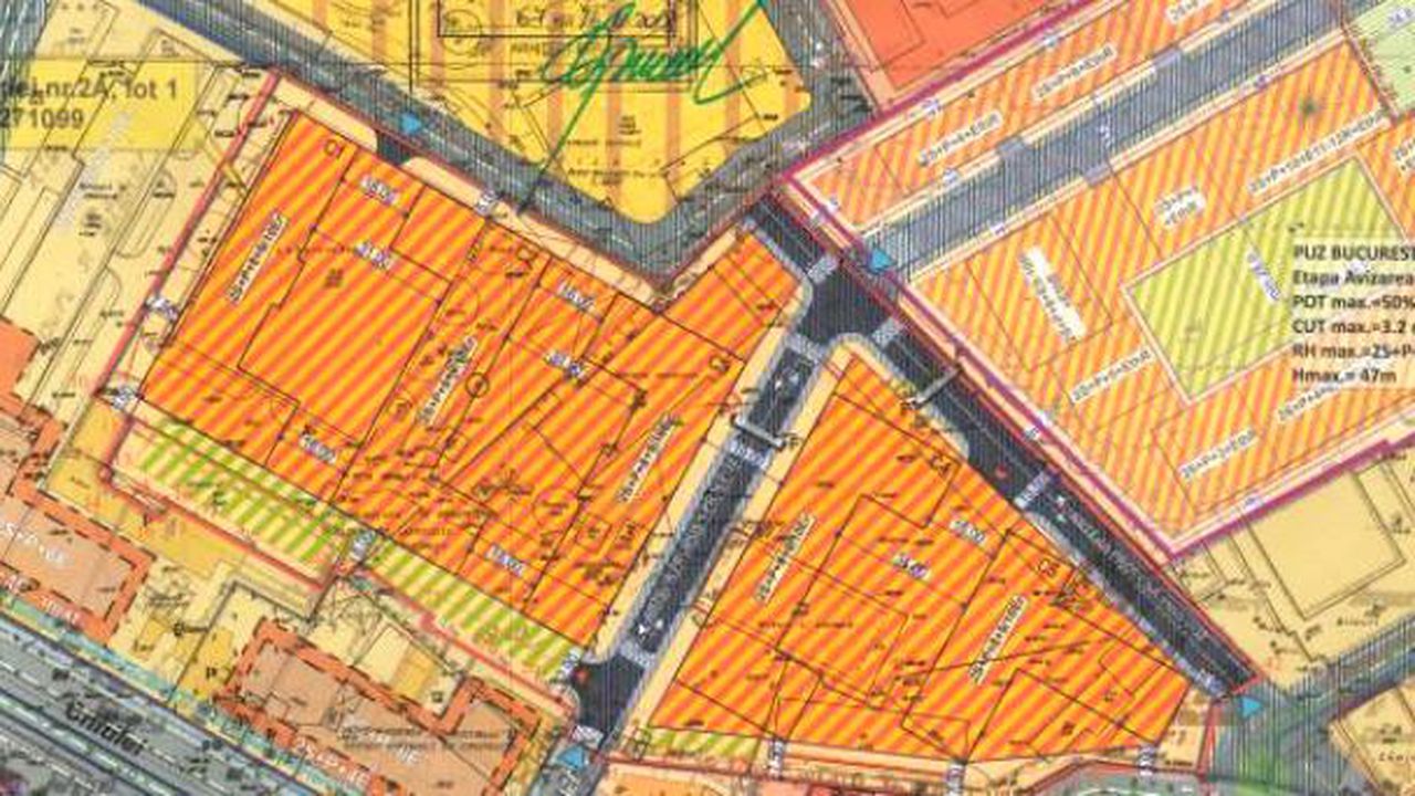 alinniculae_87843100