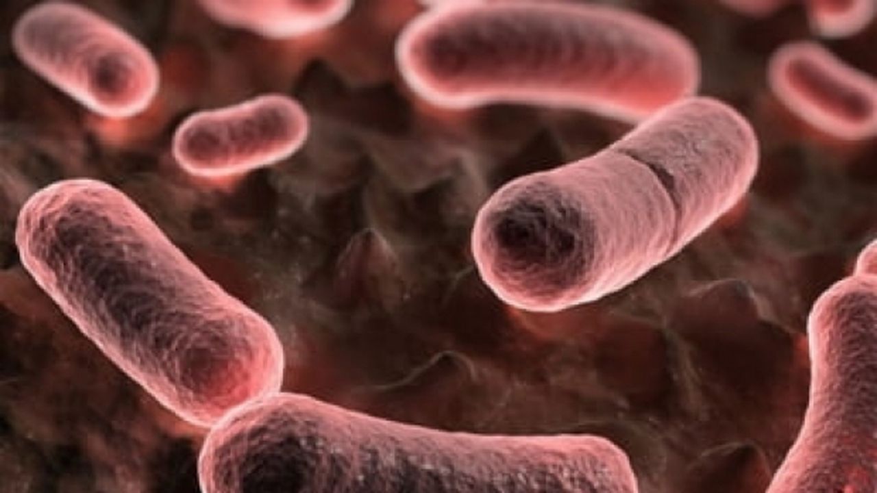 ciuma_bubonica__6876_20831800