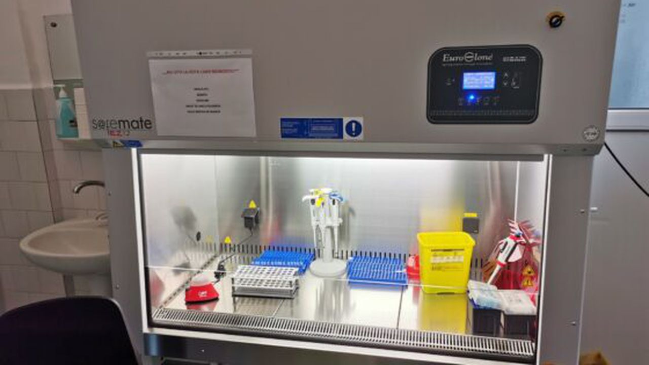 foto_mediclim_3_51391600