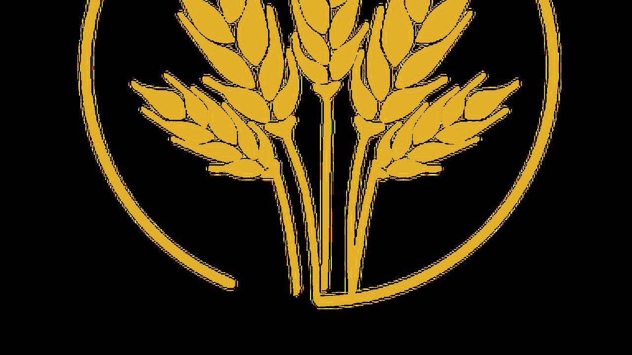 logo_final_png_color_1_97650700