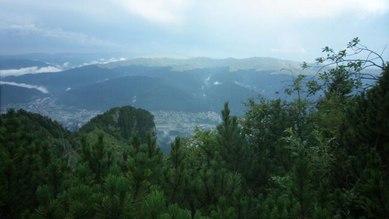 4858831568_219078d2b5_b_50945900