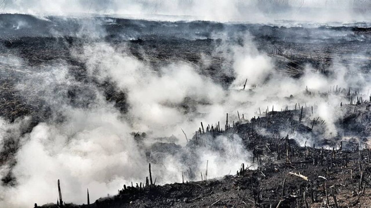 92176591_2581730025481174_4523953138083823616_o_55999400_15696300