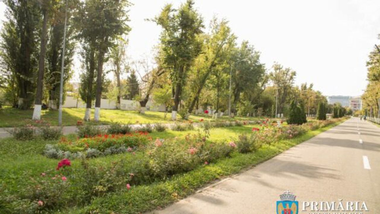 4b68970c_bb02_4822_b840_1b65aadb26f8_980x653_69651100