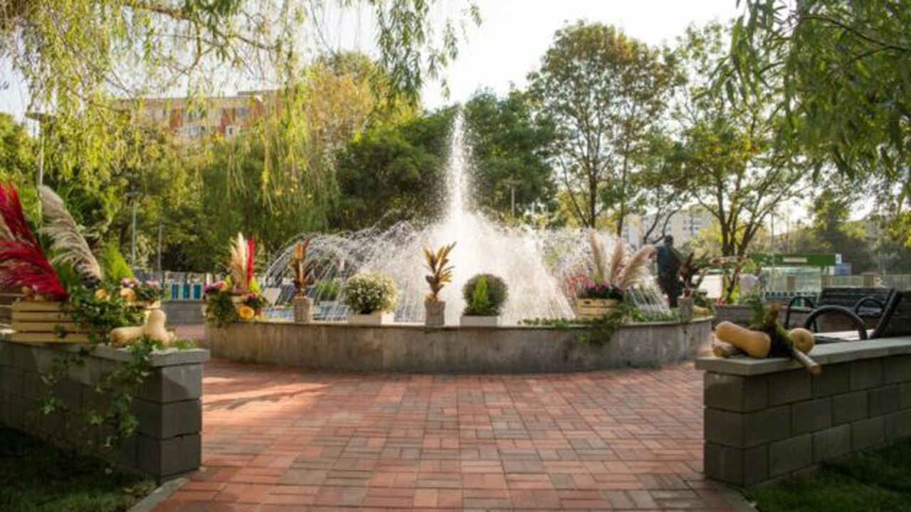 photo_2020_09_23_14_15_07_4_980x653_11680700