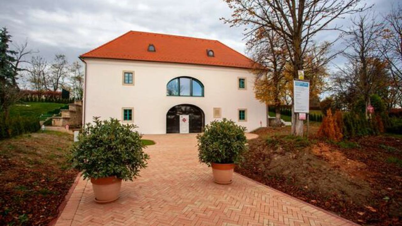 poarta_vieneza_cluj_napoca_50662500