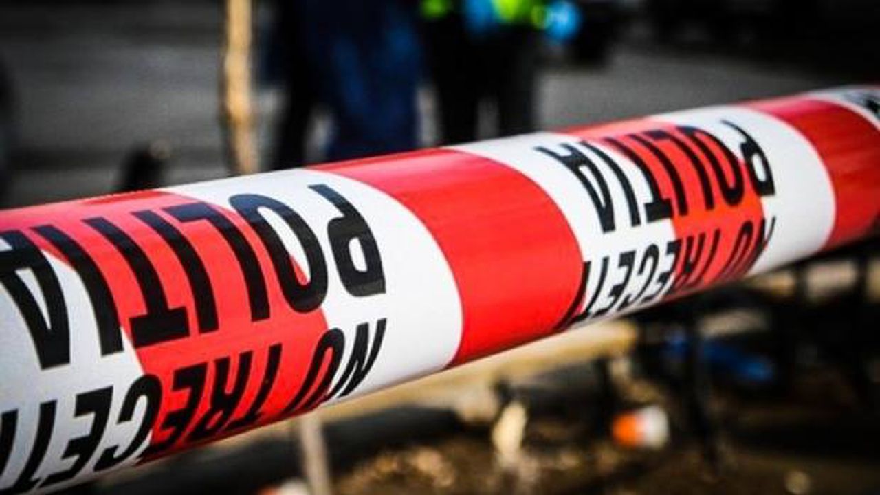 politia_876545678_46863900