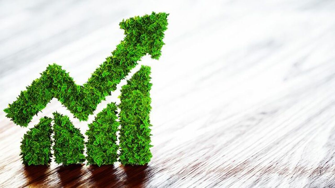 imagedetail_5038462a_22f5_4eb5_a99d_e5f0e4f03162_large_19116300