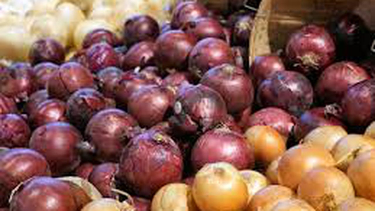 images_37730200