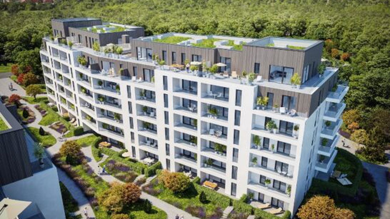 speedwell_the_ivy_59344200