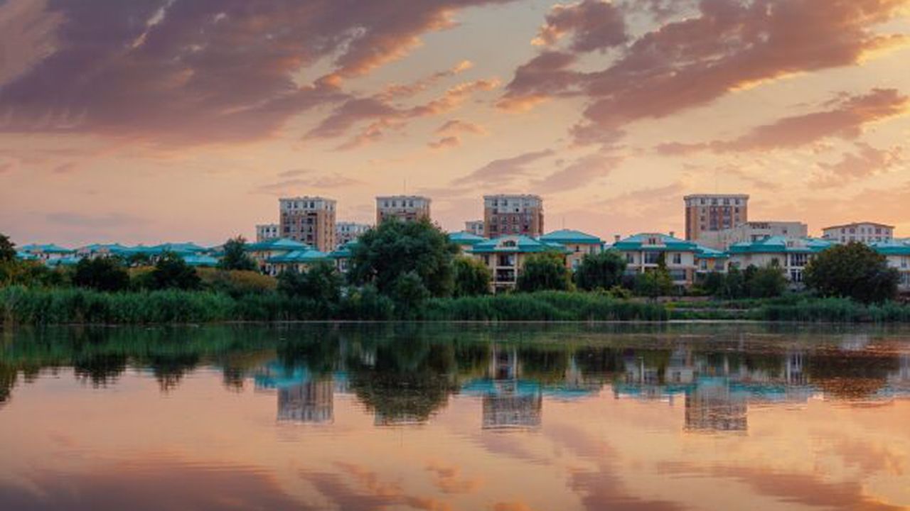 cosmopolis_2020_b_72687800