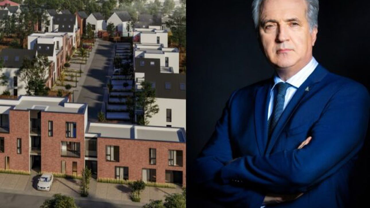 daniel piturlea concelex