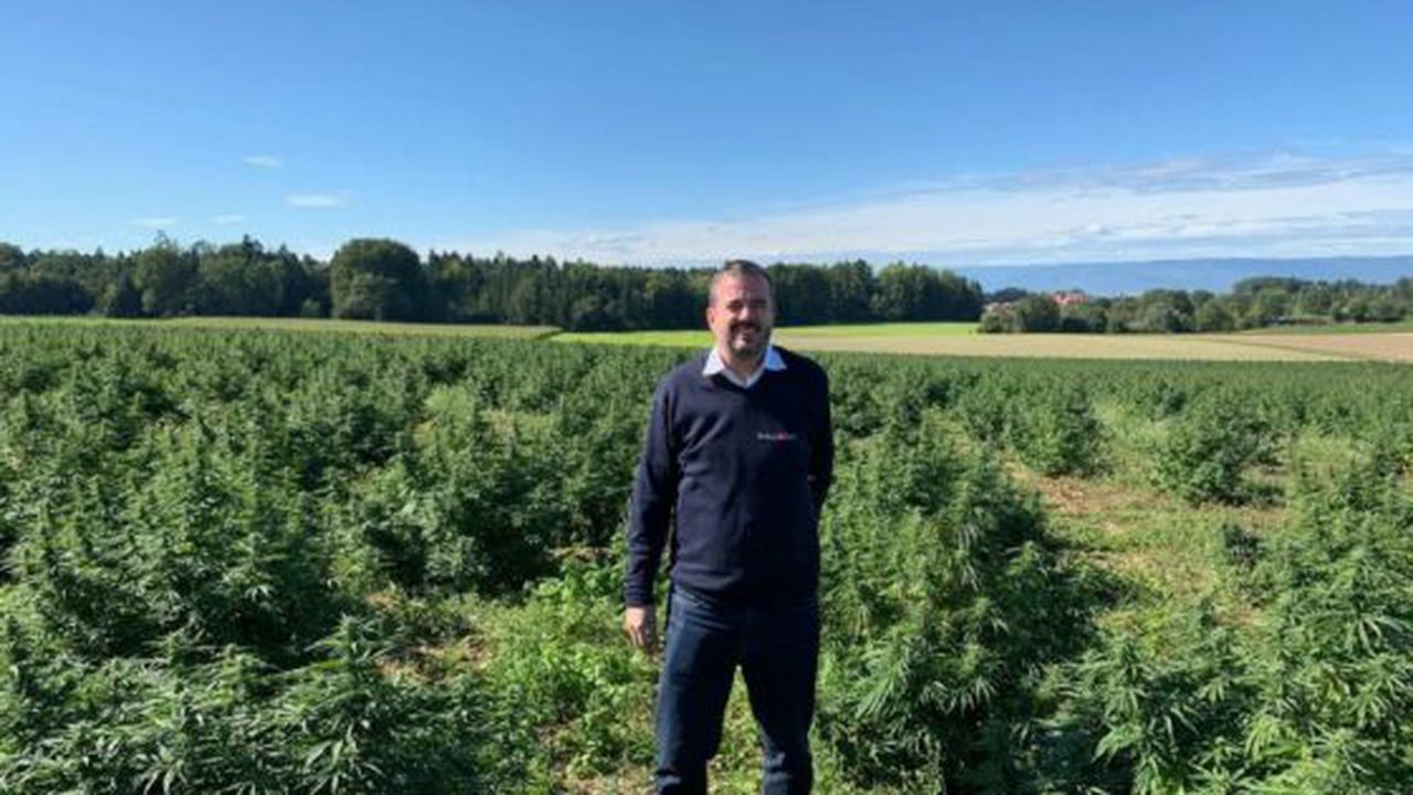 d86a897e-514e-4d0f-b31d-292fbc75dd77