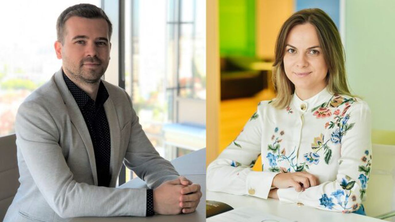 raluca baldea deloitte