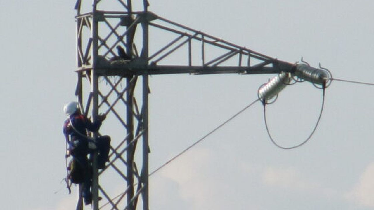 Masuri protejare pasari 3