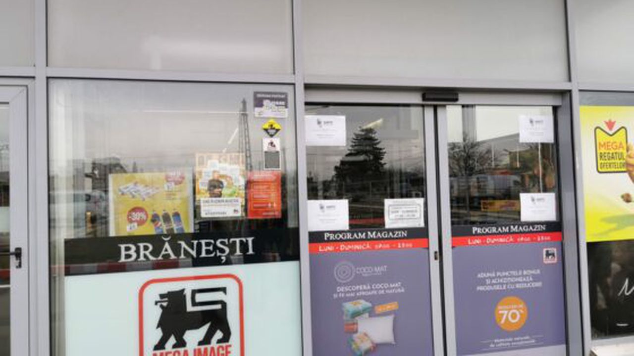 7c3419a2-e189-45cd-8193-a1f47ad275e4