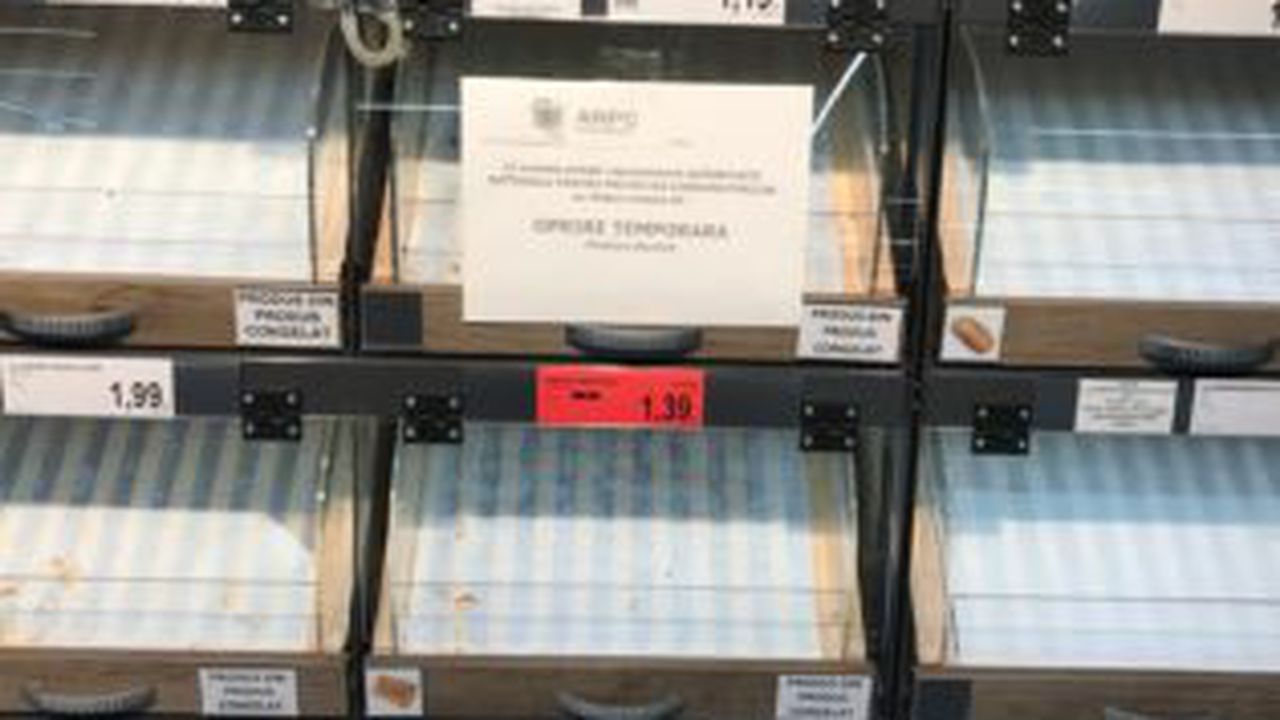 WhatsApp Image 2022-02-17 at 5.46.36 PM