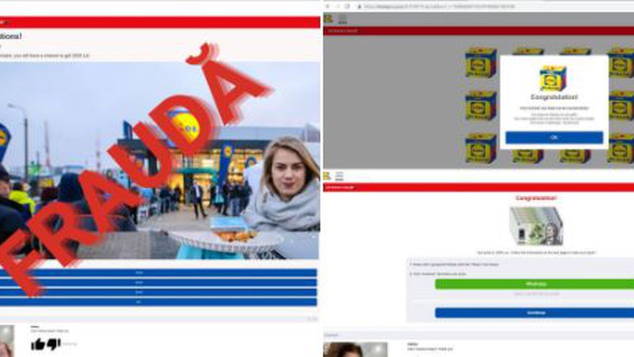 frauda lidl 54356