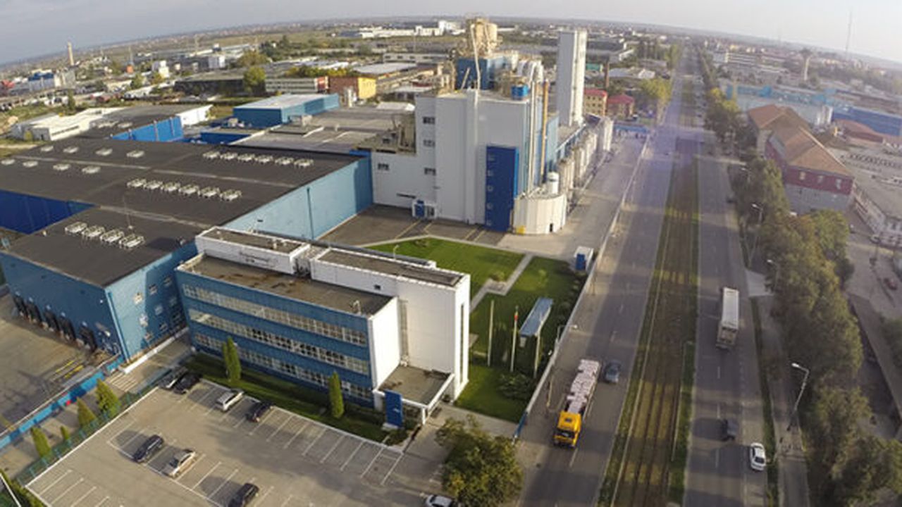 dalli timisoara 5436567