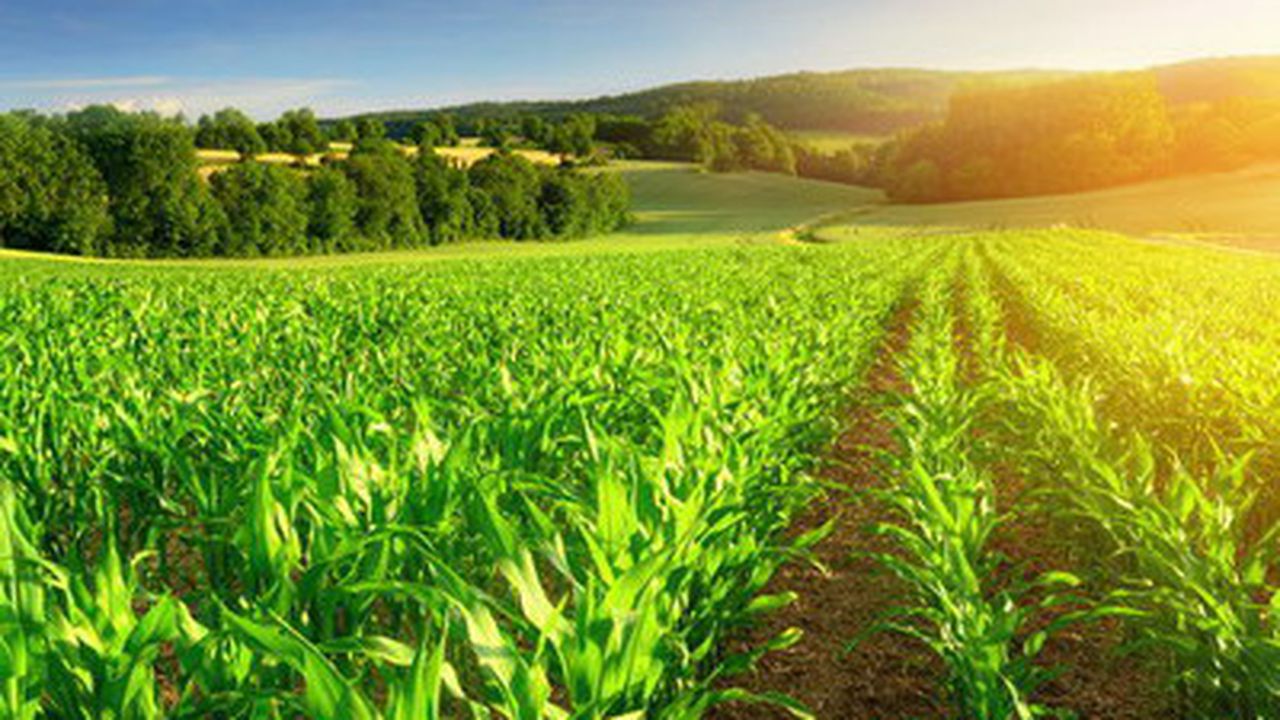 Facilitati-de-credit_1